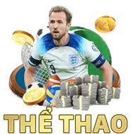 Hỗ trợ SEO và Nội dung